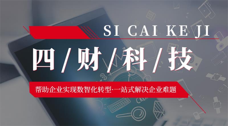 成都四財科技，助力企業(yè)實現(xiàn)數(shù)智化轉(zhuǎn)型